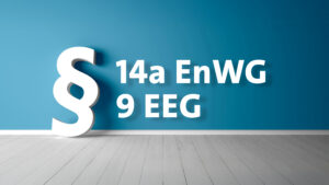 § 14a EnWG und § 9 EEG